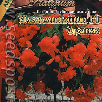 Бегония ампельная Иллюминейшн Оранж F1, 8 шт. Platinum