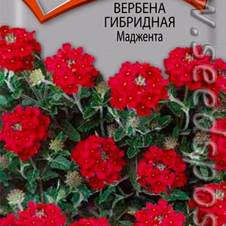 Вербена гибридная Маджента, 0,1 г