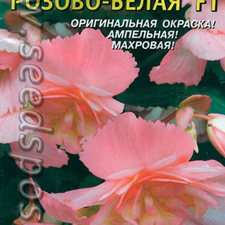 Бегония ампельная клубневая Шансон Розово-белая F1, 10 драже