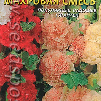 Шток-роза Чатерз Махровая, Смесь, 12 шт.