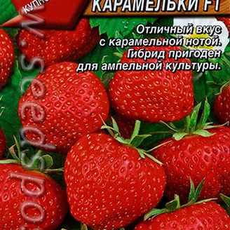 Земляника ремонтантная крупноплодная Карамельки F1, 10 шт.