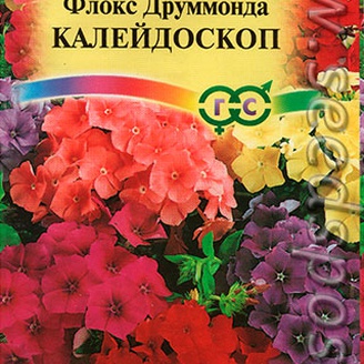 Флокс Друммонда Калейдоскоп, Смесь, 0,1 г