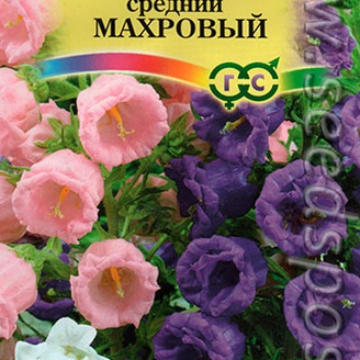 Колокольчик средний Махровый, Смесь, 0,1 г (Га)