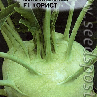 Капуста кольраби Корист F1, 13 шт.