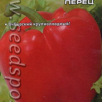 Перец сладкий Квадро Ред, круп.плод, 15 шт.