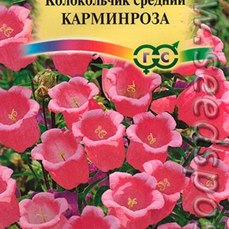 Колокольчик средний Карминроза, 0,1 г