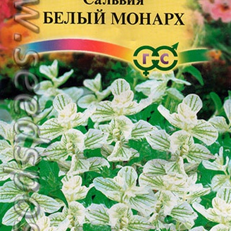 Сальвия хорминум Белый монарх, 0,05 г