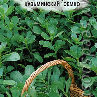 Портулак огородный Кузьминский Семко, 1 г