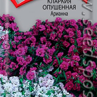 Кларкия опушенная Арианна, 0,1 г