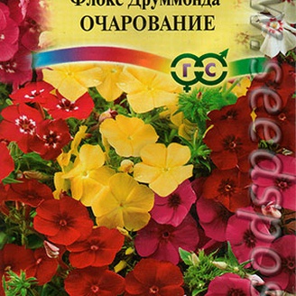 Флокс Друммонда Очарование, Смесь, 0,05 г 