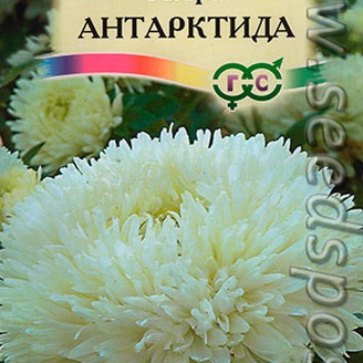 Астра Антарктида, 0,3 г