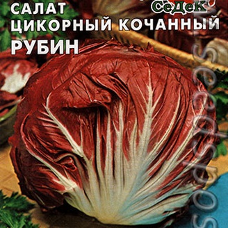 Салат цикорный кочанный Рубин, 0,5 г