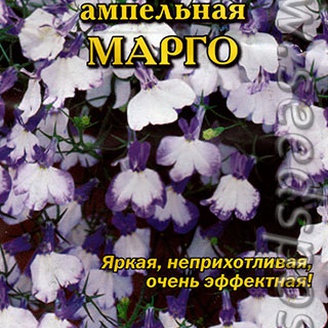 Лобелия ампельная Марго, 8 шт.