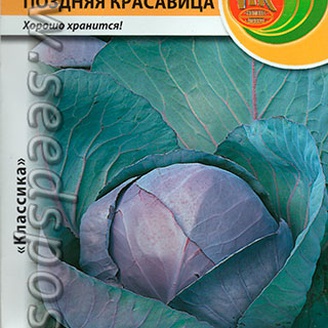 Капуста краснокочанная Поздняя красавица, 0,5 г