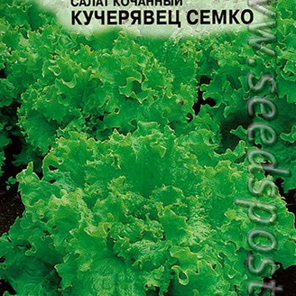 Салат кочанный Кучерявец Семко, 1 г