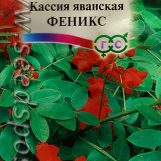 Кассия яванская Феникс, 0,6 г