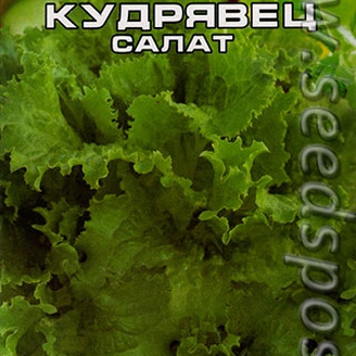 Салат Нежный кудрявец, 1 г