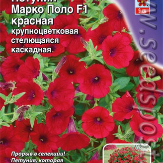 Петуния каскадная крупноцветковая Марко Поло Красная F1, 7 шт. Farao