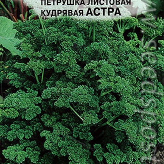 Петрушка кудрявая Астра, 2 г