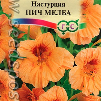 Настурция Пич Мелба, 8 шт.