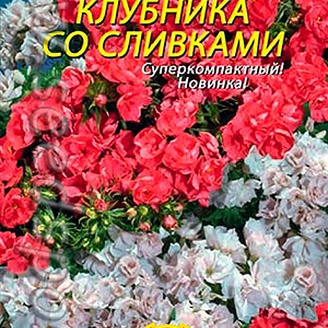 Флокс махровый Клубника со сливками, Смесь, 6 шт.