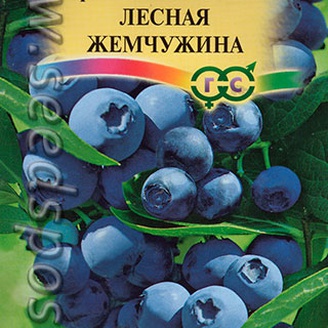 Черника Лесная жемчужина, 30 шт. 