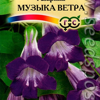 Азарина Музыка ветра, 5 шт.