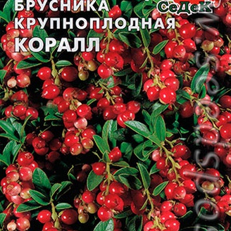 Брусника крупноплодная Коралл, 0,05 г