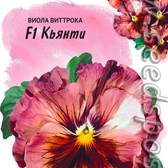 Виола Виттрока Кьянти, 5 шт. Farao Итальянские сорта и гибриды