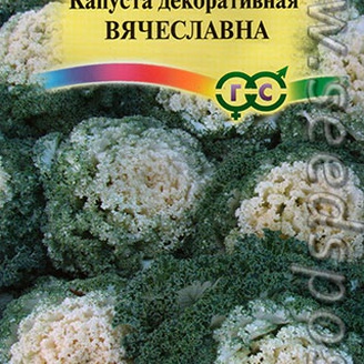 Капуста декоративная Вячеславна, 0,1 г