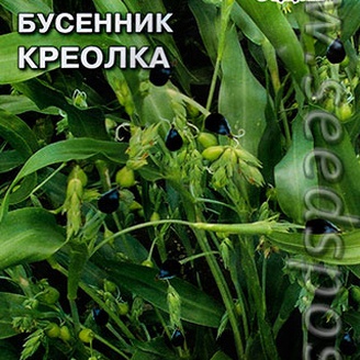 Бусенник обыкновенный Креолка, 1 г