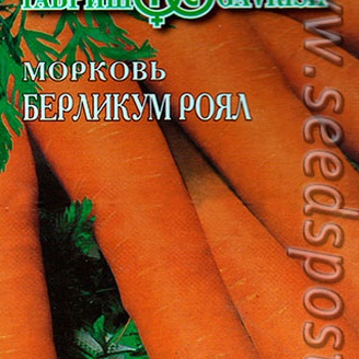 Морковь Берликум Роял (на ленте), 8 м