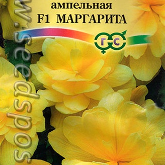 Бегония ампельная Маргарита F1, 4 шт.