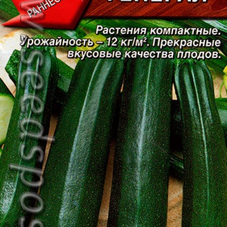 Кабачок цуккини Генерал®, 1 г