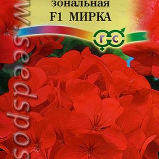 Пеларгония (герань) зональная Мирка F1, 4 шт.