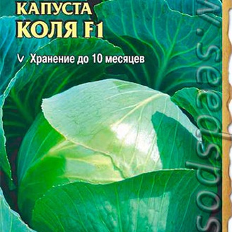 Капуста белокочанная Коля F1, 15 шт. Seminis (Голландские Семена)