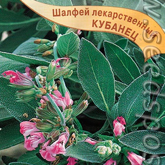 Шалфей лекарственный Кубанец, 0,3 г