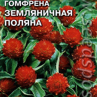 Гомфрена хаге Земляничная поляна, 0,1 г