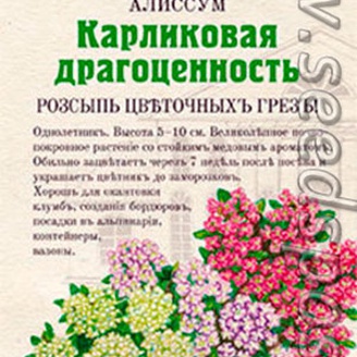 Алиссум Карликовая драгоценность, Смесь, 30 шт. Садовые традиции