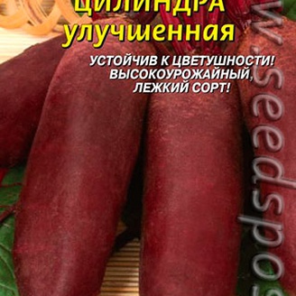 Свекла Цилиндра улучшенная, 2 г