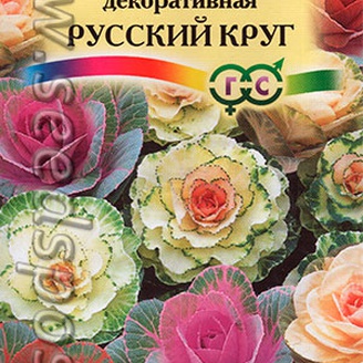 Капуста декоративная Русский круг, Смесь, 0,1 г