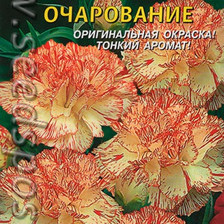 Гвоздика садовая Очарование, 0,1 г