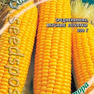 Кукуруза сахарная Соблазн F1, 5 г Семена от автора