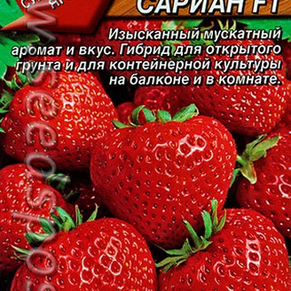 Земляника ремонтантная крупноплодная Сариан F1, 5 шт.