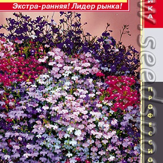Лобелия ампельная Регатта Микс, 8 мультидраже Профессиональная коллекция