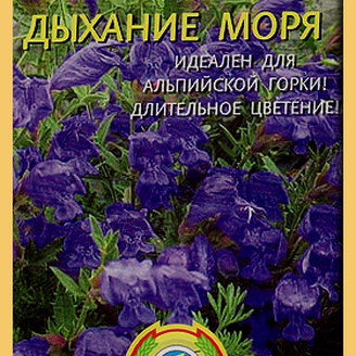 Змееголовник иноземный Дыхание моря, 0,02 г