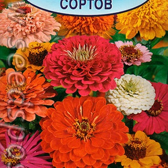 Цинния махровая Смесь срезочных сортов, 0,3 г 