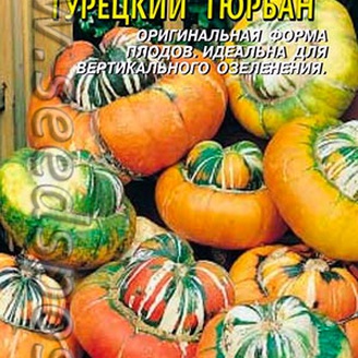 Тыква декоративная Турецкий тюрбан, 2 шт.