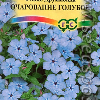 Флокс Друммонда Очарование Голубое, 0,05 г 