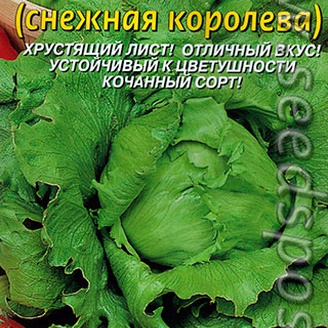 Салат Айс Квин (Снежная королева), 0,5 г